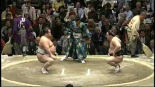 Toyohibiki vs Harumafuji