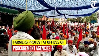 Amritsar: Farmers protest at offices of procurement agencies on the call of Samyukta Kisan Morcha