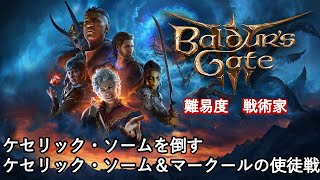 （テロップ解説あり）【バルダーズゲート３（Baldur's Gate3）】クエスト『ケセリック・ソームを倒す』、ケセリック・ソーム＆マークールの使徒戦　攻略（初見難易度：戦術家）