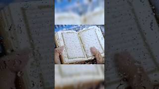 পবিত্র মহাগ্রন্থ আল কোরআন ♥️#quran #islamic #shortsvideo #islam #rajshahi #quranic