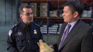 Crime Inc: Counterfeit Goods Web Extra
