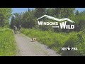 Windows to the Wild