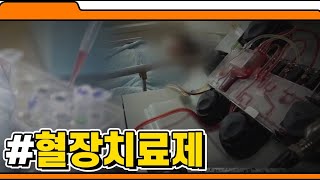 코로나19 치료법으로 떠오르는 혈장치료제, 어떤 원리로 치료가 가능한 걸까?