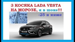 Три косяка лады Vesta на сильном морозе