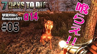 【7Days to Die α14】琴葉姉妹のNavezgane紀行　#05 お姉ちゃんお散歩する