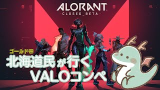 【valorant】カスタム神視点