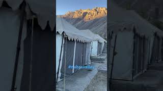 #ladakhdiaries #nubravalley #relaxing #campsite #earlymorning #sunkissed #nature #wanderlust