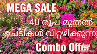 Mega offer sale# 40രൂപ മുതൽ ചെടികൾ വിറ്റഴിക്കുന്നു #combo offer# online sale# 2025# malayalam#