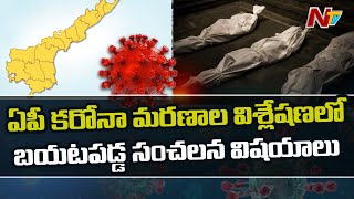 ఏపీ కరోనా మరణాల విశ్లేషణలో బయటపడ్డ కీలక విషయాలు | Ntv