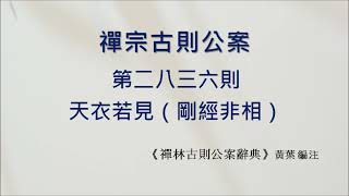 禪宗公案 2836則：天衣若見。「若見諸相非相，即見如來。」「若見諸相非相，即不見如來。」「若見諸相非相，眼在什麼處？此語有兩負門。」