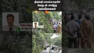 Tirupati | Heavy Rain | Fallen Trees | Tamil Nadu | Traffic | Sun News