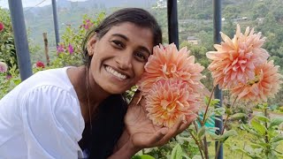 കുഞ്ഞി പാത്തൂൻ്റെ മൂന്നാർ ട്രിപ്പ് 🥰 #suttu #love #walking #munnar #mother #happy #trip #teagarden