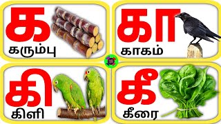 உயிர் மெய் எழுத்துக்கள்|க கா கி கீ வரிசை எழுத்துக்கள் | Tamil Alphabets ka kaa ke kee letter