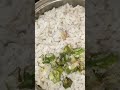 ഇന്നത്തെ മക്കളുടെ lunch🍱 1million food lunchboxlove lunchbox cooking youtubeshortvideo