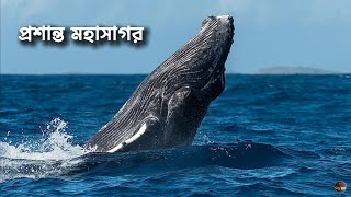 প্রশান্ত মহাসাগর | প্রশান্ত মহাসাগর আসলে কত বড়? | Pacific Ocean in Bangla | আলোছায়া