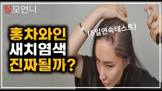 (*Eng) 흰머리 새치염색이된다구요? 홍차와인 천연염색 5일연속 테스트 해봤습니다. (ft.만드는방법부터 쉽게 바르는방법까지)