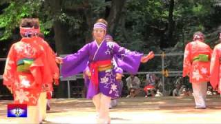 妃龍　原宿スーパーよさこい2010〔２日目　文化館会場〕