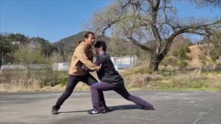 태극권 추수 장경 타격 Tai Chi push hands demo