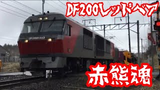 【赤熊魂】北海道を走る貨物列車(注:札幌貨物ターミナル入れ替えも含みます)