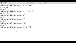 024 Nil object in Ruby