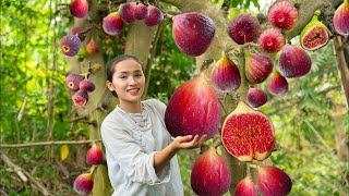 Harvesting Figs: A Joyful Rural Experience with Fresh Fruit