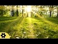 Studying Music, Relaxing Music for Stress Relief, Work Music, Studying, Music for Relaxation, ✿2779C