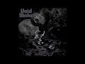 Void Sinker - Debris (FULL EP, 2024)