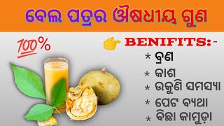 ବେଲ ଗଛର ଉପକାରିତା || Health Benefit of Bela Leaf and Tree in Odia || Bela Patrata Upakarita ||