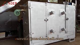 Industrial Raisin Cleaning Drying Machine | Raisin Washing Equipment for Sale