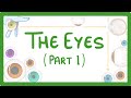 GCSE Biology - How the Eye Works (Part 1) - Structure of the Eye & Iris Reflex