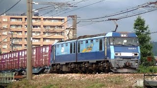 ﾌﾞﾙｰｻﾝﾀﾞｰEH200-8牽引高速貨物6082ﾚ　焼島→隅田川