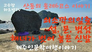 하르방TV 제32회 '산동의 올레6코스 이야기'