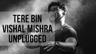 Tere Bin Unplugged | Vishal Mishra Acoustic Version | Atif Aslam