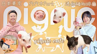 Pignic Cafe迷你豬咖啡廳🐷｜東京代代木公園店｜彈寶與小豬們的幸福時光