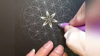 Flower of Life 1-2