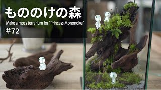 Make a moss terrarium for \