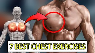 The best and strongest 7 exercises for the chest