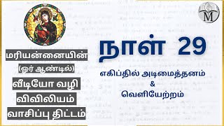 Day 29: எகிப்தில் அடிமைத்தனம் \u0026 வெளியேற்றம் | விடுதலைப் பயணம் 4-5; லேவியர் 4; திருப்பாடல்கள் 46