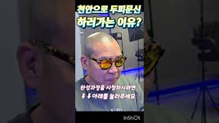 아산천안평택 전두탈모 탈출 2025.02