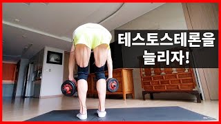 테스토스테론을 늘리는 20분 덤벨 써킷 운동 (근력 외에 유산소 효과까지 한꺼번에 노리자!)