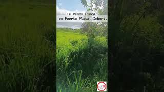 🛑Te Vendo hermosa Finca en Puerto Plata, ImbertRepública Dominicana 🇩🇴