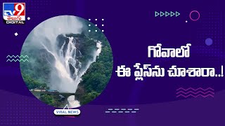 గోవాలో ఈ ప్లేస్‌ను చూశారా..! | Tourist Places In Goa @TV9TeluguDigital