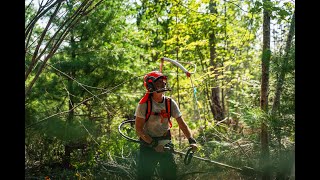 Building a Sustainable Future: How Silviculture is Shaping Nova Scotia's Forests