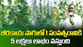 Huge Profits in Ridge Gourd Farming | Vidyasagar Horticulture & Sericulture Officer | SumanTV Rythu