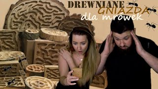 DREWNIANE GNIAZDA DLA MRÓWEK od Foranto🐜 | NAJPIĘKNIEJSZE w sieci!!! Unboxing + zapowiedź konkursu