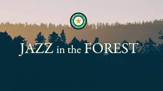 【森の音とJAZZ】 Jazz inth Forest Vol.2