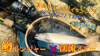 【渓流釣り】鱒レンジャーで渓流ルアーフィッシング🎣ヤマトイワナを釣る！