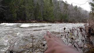 Ammonoosuc River flooded Banks