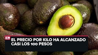 Reportan incremento en el precio del aguacate