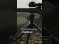 the best all around hunting tripod